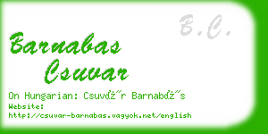 barnabas csuvar business card